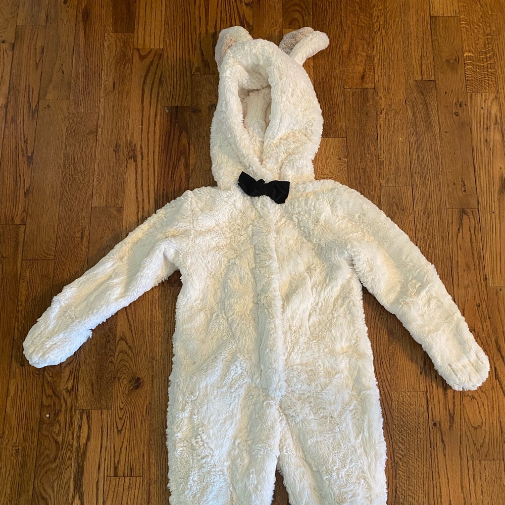 White Rabbit Costume